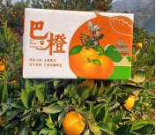鲜橙8斤大果（70-75）