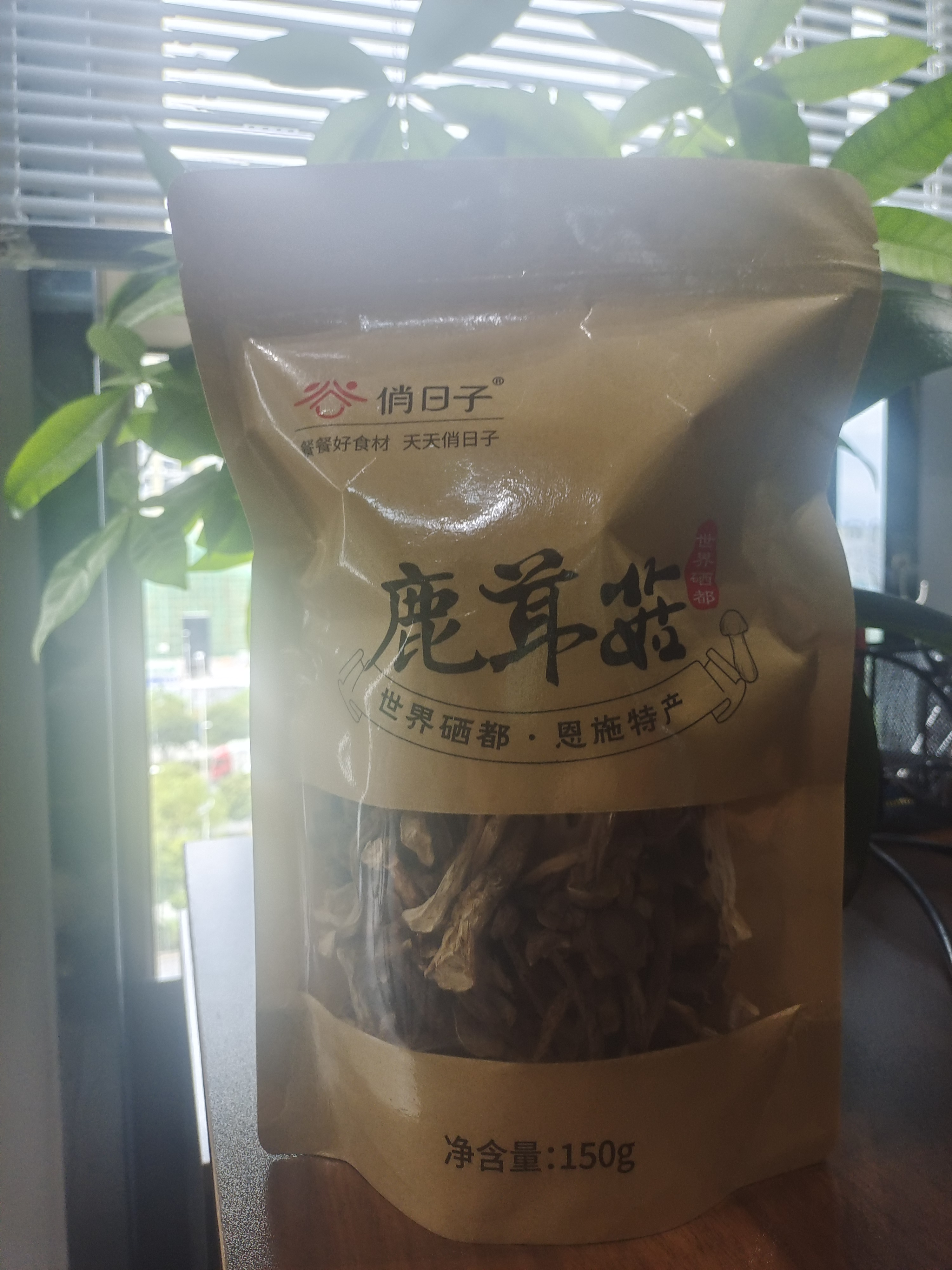 鹿茸菇